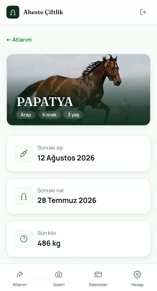 Aheste dijital at takip uygulaması ekranı